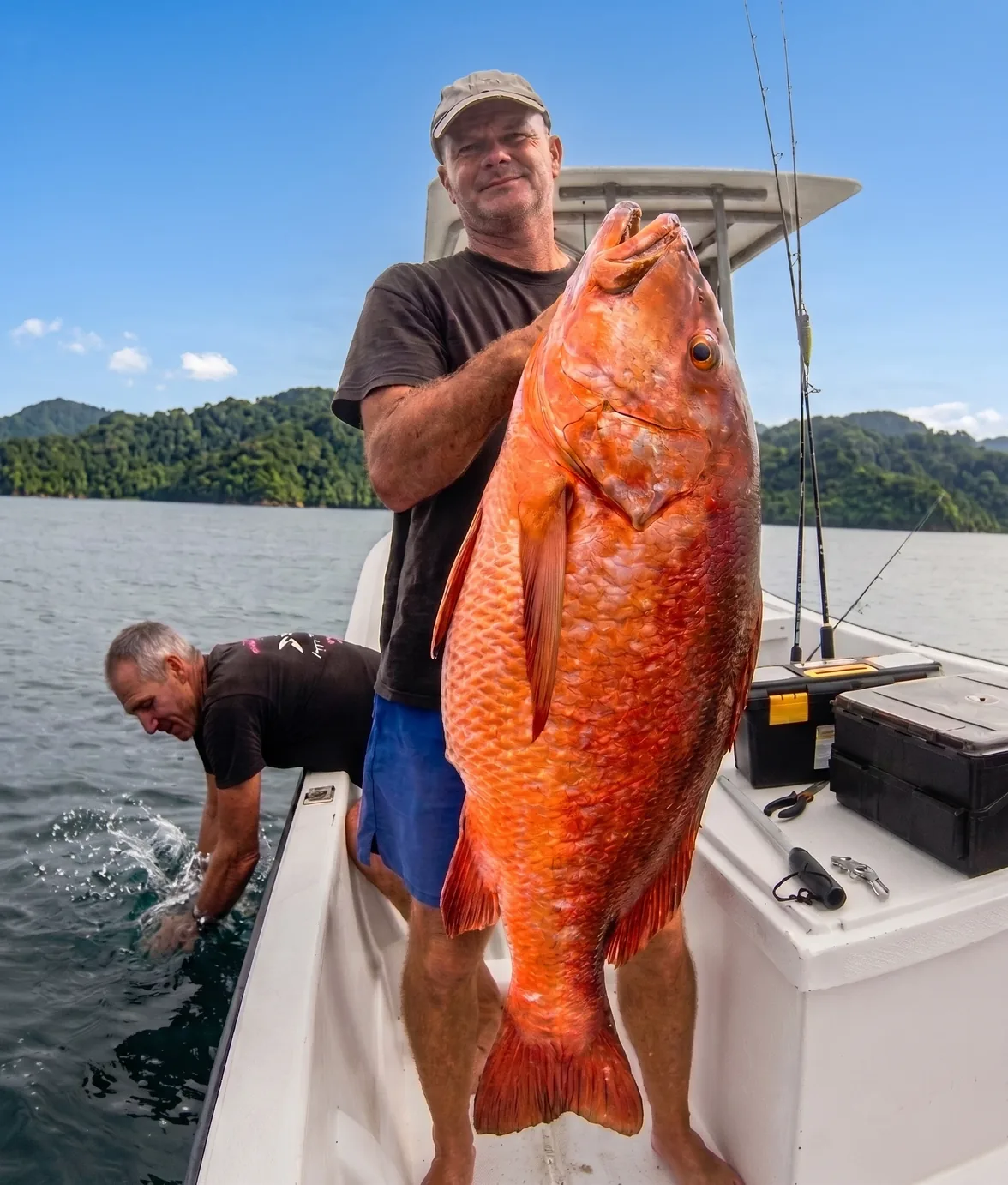Cubera snapper caught bottom fishing near Papagayo's rocky reefs