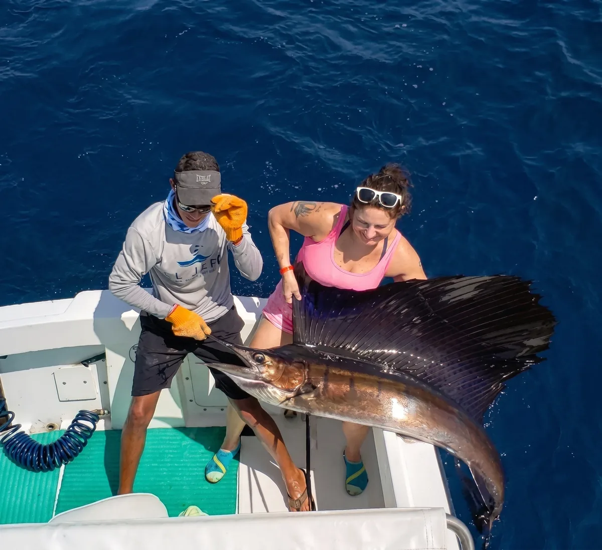 Sailfish catch and release offshore fishing in Papagayo, Costa Rica