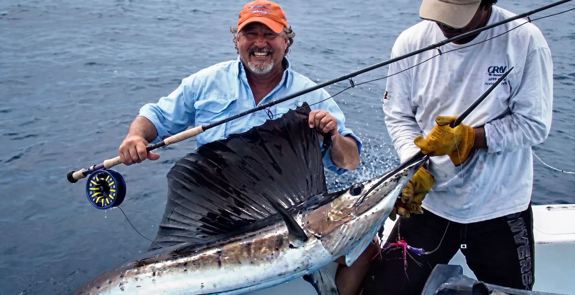 Sailfish alongside a charter boat in the Gulf of Papagayo, Costa Rica