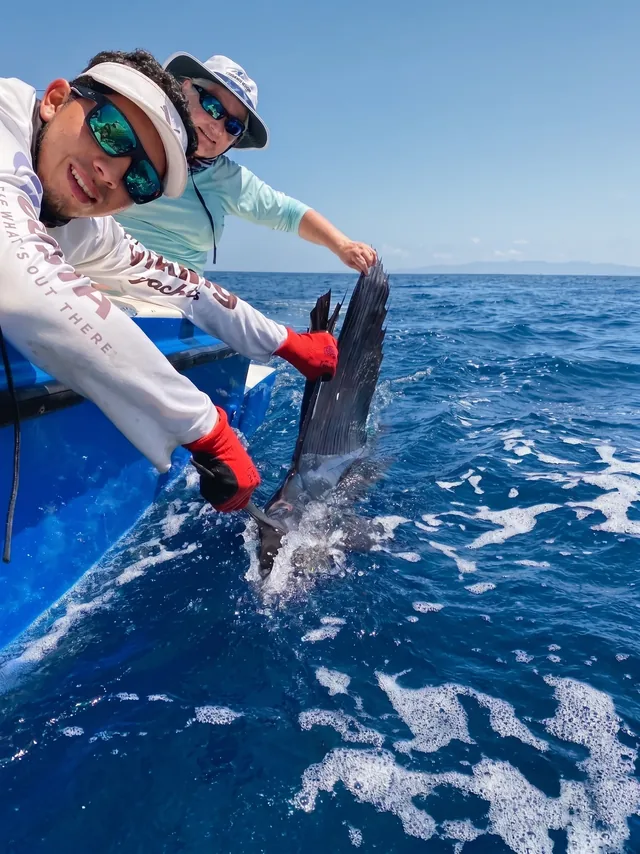 A crew member releases a sailfish beside the boat in the Gulf of Papagayo